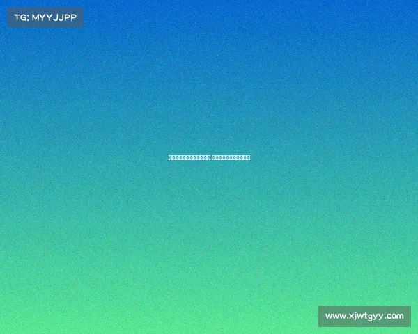 英媒称纽卡仍有意引进维萨 并已启动雅克松转会谈判