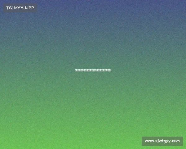 英媒称纽卡仍有意引进维萨 并已启动雅克松转会谈判