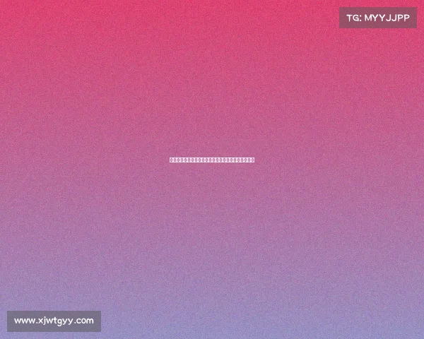 高效整理装备的技巧与方法，提升你的生活与工作效率